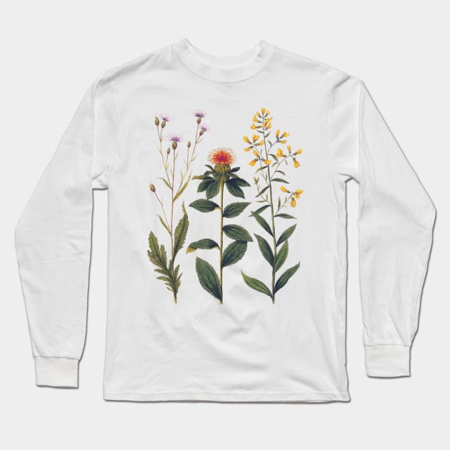 Wildflowers and Thistles Vintage Botanical Long Sleeve T-Shirt by AntiqueImages